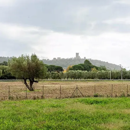 Camping Minicasa La Barca *